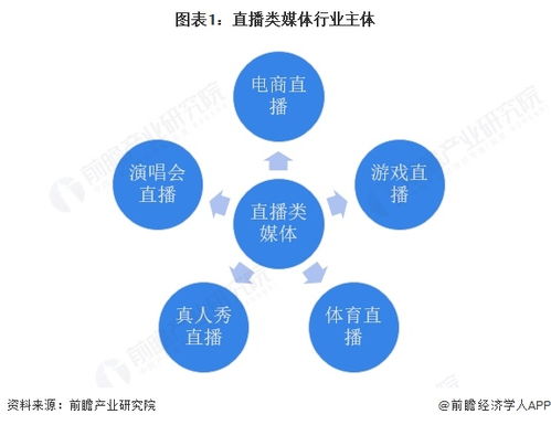 2025年中國(guó)傳媒行業(yè)細(xì)分市場(chǎng)分析 技術(shù)賦能與垂類深耕驅(qū)動(dòng)下的網(wǎng)絡(luò)技術(shù)開發(fā)生態(tài)